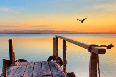 “Wildlife Photographer of the Year” Exhibition at Milan Museum